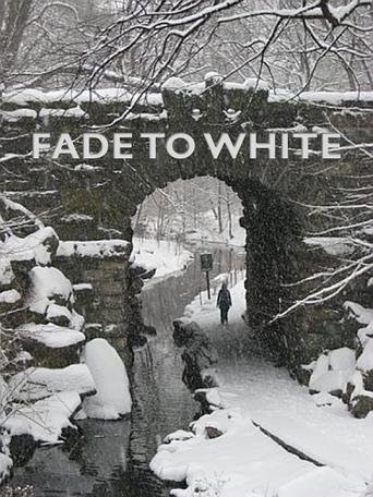 Poster of Fade to White