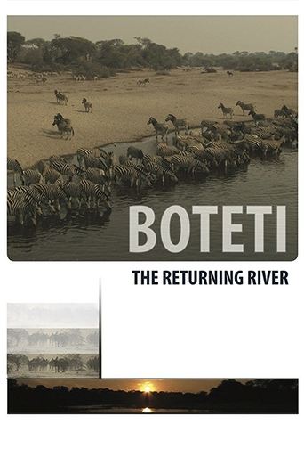 Poster of Boteti: The Returning River