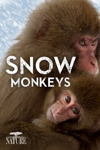 Poster of Wild Japan: Snow Monkeys