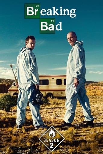 Portrait for Breaking Bad - Season 2