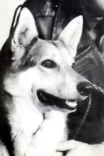 Portrait of Cão King