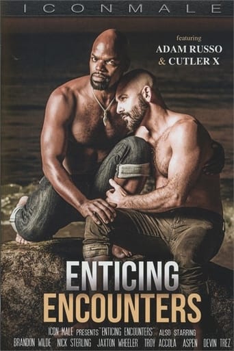 Poster of Enticing Encounters