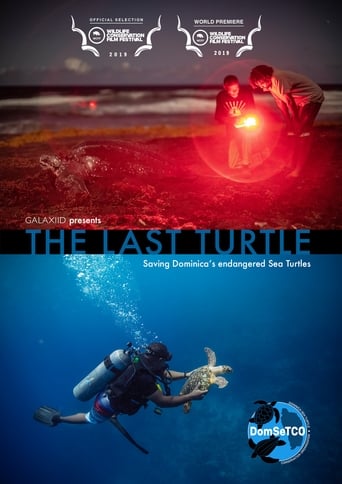 Poster of The Last Turtle