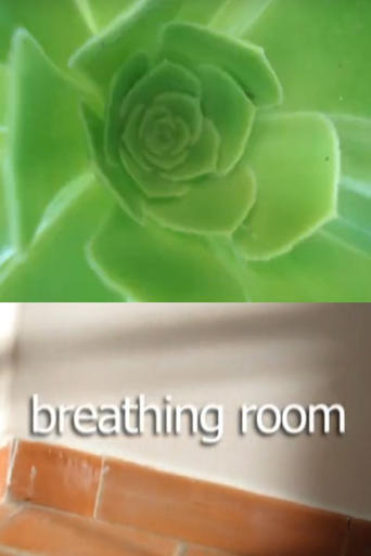 Poster of Breathing Room