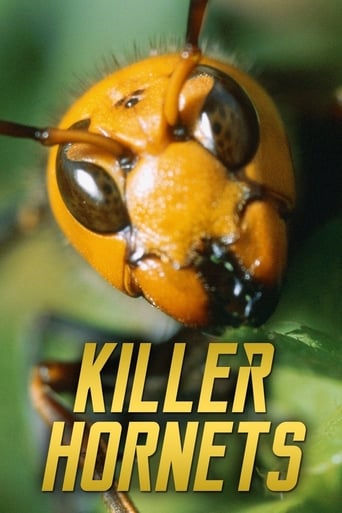 Poster of Killer Hornets