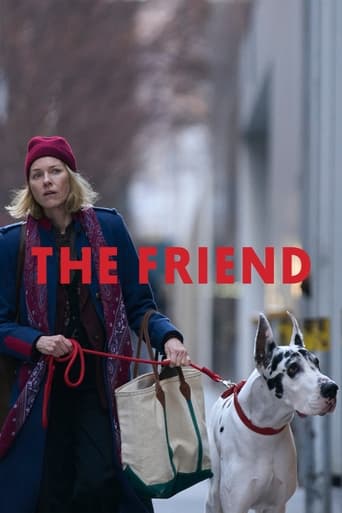 Poster of The Friend