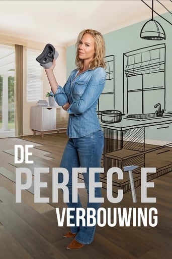 Poster of De Perfecte Verbouwing