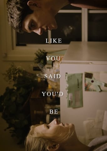 Poster of Like You Said You'd Be