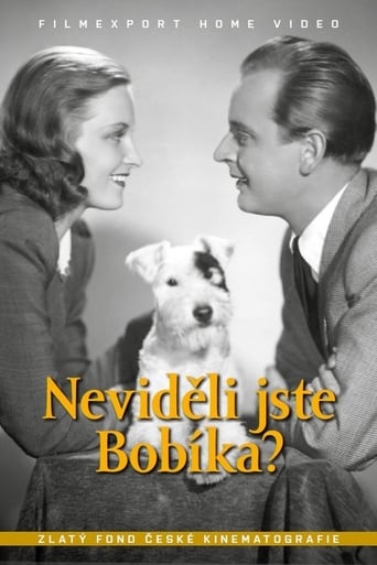 Poster of Neviděli jste Bobíka?