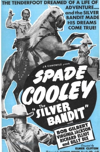 Poster of The Silver Bandit