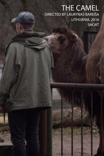 Poster of The Camel