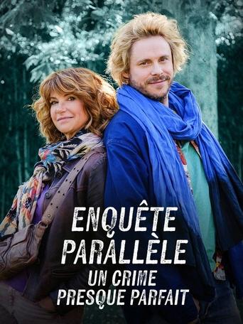 Poster of Enquête parallèle : Un crime presque parfait