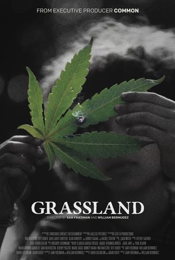 Poster of Grassland