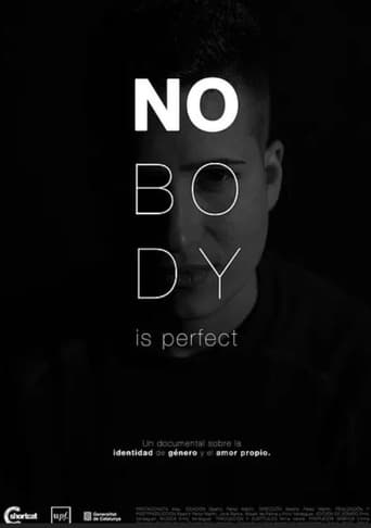 Poster of Nobody Is Perfect