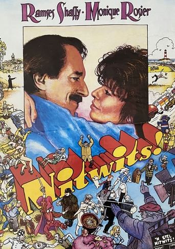 Poster of Nitwits