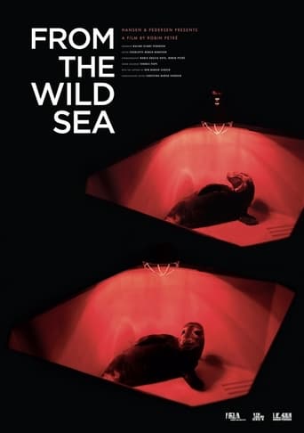 Poster of From the Wild Sea