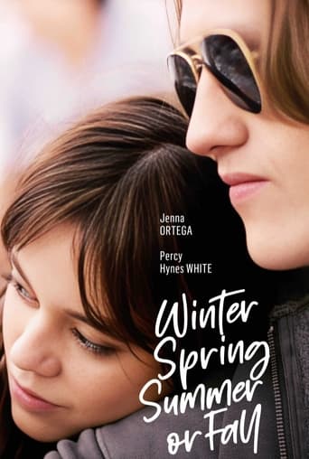 Poster of Winter Spring Summer or Fall