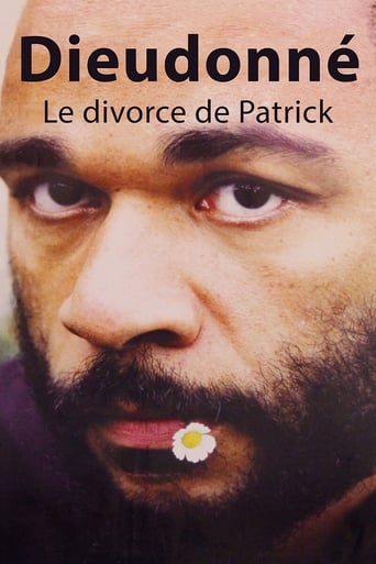 Poster of Le divorce de Patrick