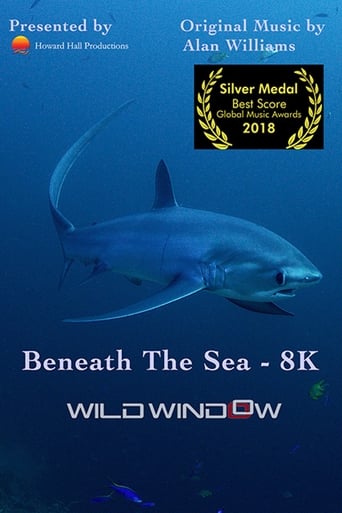 Poster of Wild Window: Beneath the Sea