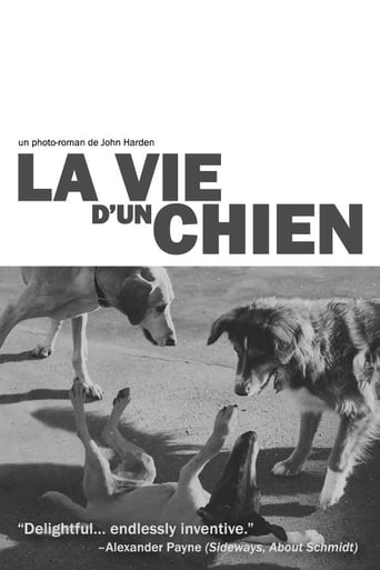 Poster of The Life of a Dog