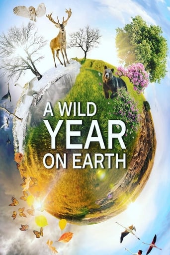 Poster of A Wild Year On Earth