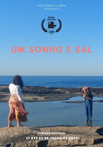 Poster of Um Sonho e Sal