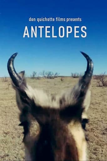 Poster of Antelopes