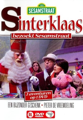 Poster of Sinterklaas in Sesamstraat 2002: Een bijzonder geschenk