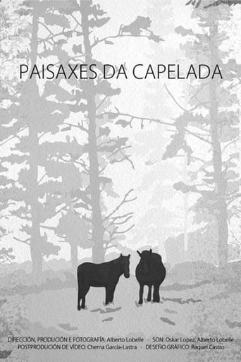 Poster of Paisaxes da Capelada