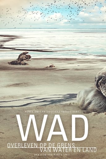 Poster of The Wadden Sea