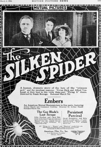 Poster of The Silken Spider