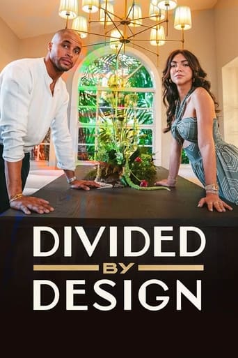 Poster of Divided by Design