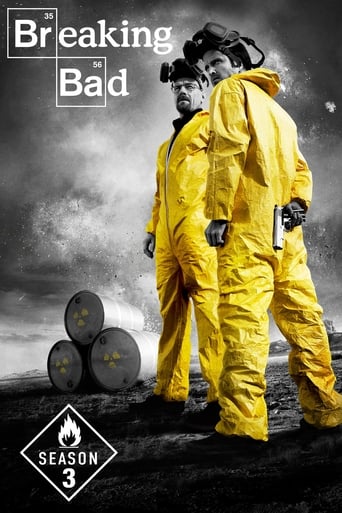 Portrait for Breaking Bad - Season 3