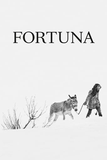 Poster of Fortuna