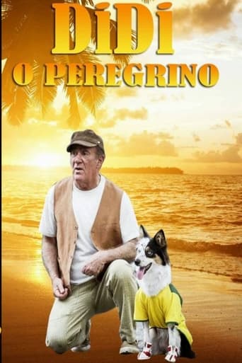 Poster of Didi, o Peregrino