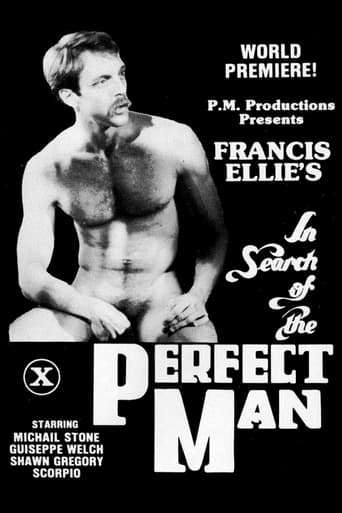 Poster of In Search of the Perfect Man