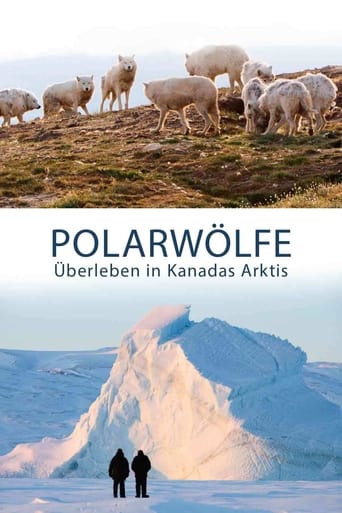 Poster of Polarwölfe - Überleben in Kanadas Arktis