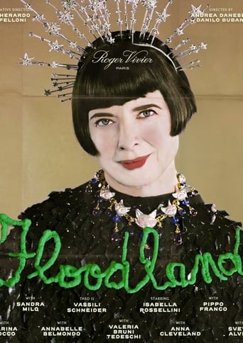 Poster of Floodland