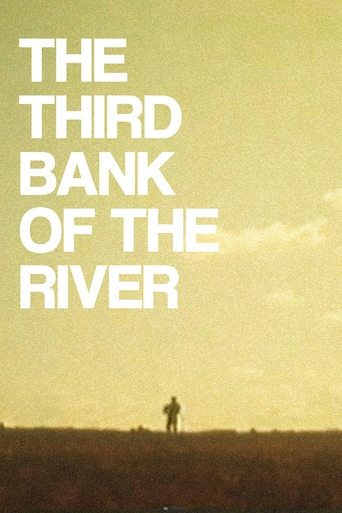 Poster of The Third Bank of the River