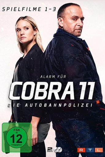 Portrait for Alarm for Cobra 11: The Motorway Police - Season 49