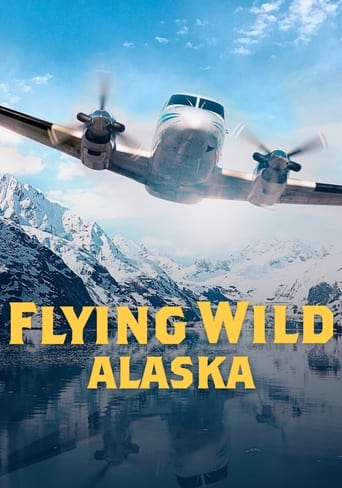 Poster of Flying Wild Alaska