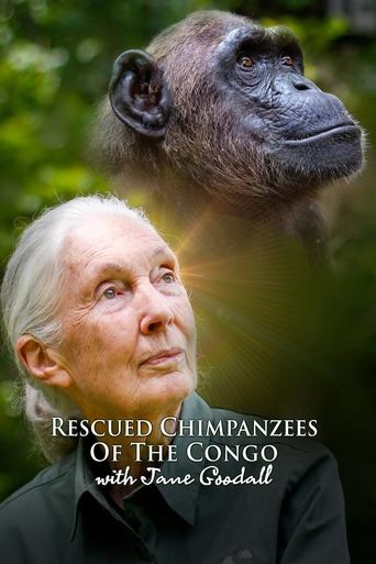 Portrait for Rescued Chimpanzees of the Congo with Jane Goodall - Season 1