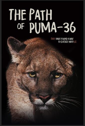 Poster of The Path of Puma-36