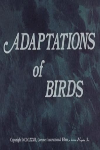 Poster of Adaptations of Birds