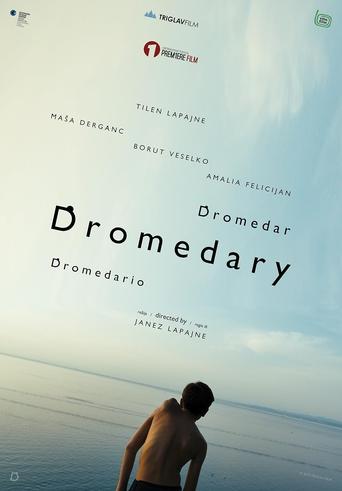 Poster of Dromedary