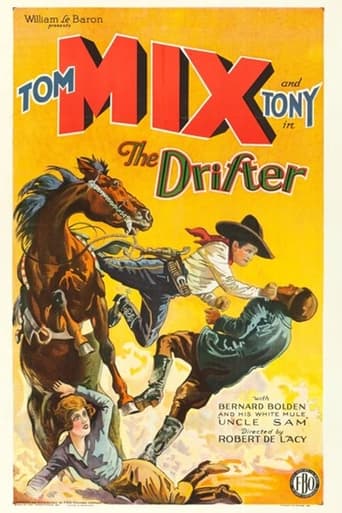 Poster of The Drifter