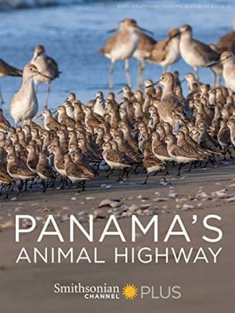 Poster of Panama's Animal Highway