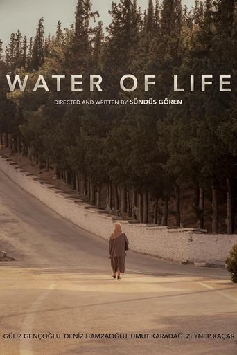 Poster of Water of Life