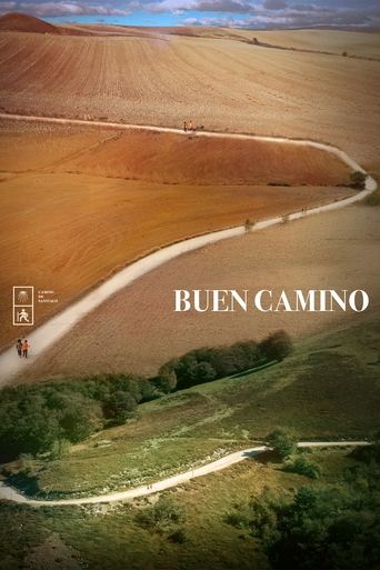 Poster of Buen Camino