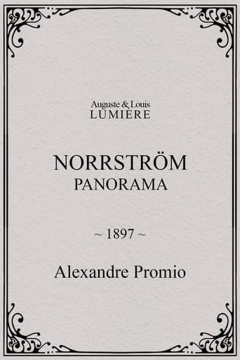 Poster of Norrström: panorama